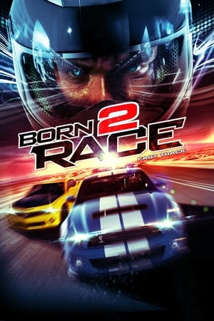 Born to Race Fast Track 2014 Hindi Dual Audio 480p BluRay 320MB - Movierulz