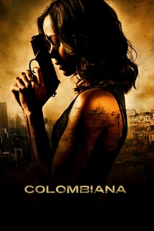 Colombiana (2011) Hindi Dual Audio 720p BluRay [1.1GB] - Movierulz