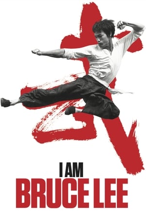 I Am Bruce Lee 2012 Hindi Dual Audio Bluray 720p [850MB] Download - Movierulz