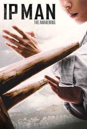 Ip Man: The Awakening (2022) Hindi Dual Audio HDRip 720p – 480p - Movierulz