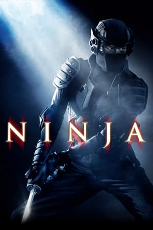 Ninja (2009) Hindi Dual Audio HDRip 720p – 480p - Movierulz