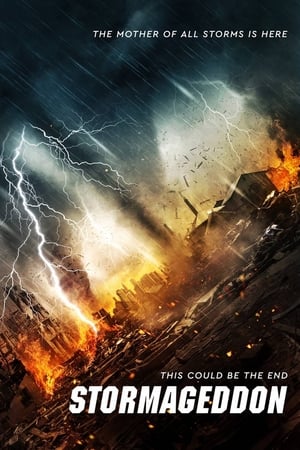 Stormageddon (2015) Hindi Dual Audio 720p BluRay [1.1GB] - Movierulz