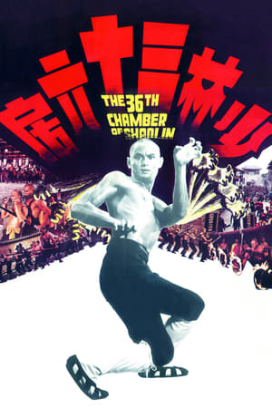 the 36th Chamber of Shaolin 1978 Hindi Dual Audio 480p BluRay 360MB - Movierulz