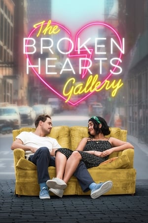 The Broken Hearts Gallery (2020) Hindi Dual Audio 480p Web-DL 340MB - Movierulz