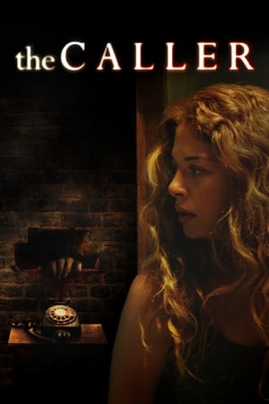 The Caller 2011 Dual Audio Hindi 480p BluRay 300MB - Movierulz