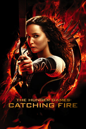 The Hunger Games Catching Fire 2013 Hindi Dual Audio 480p BluRay 480MB - Movierulz