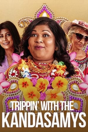 Trippin with the Kandasamys 2021 Hindi Dual Audio 480p Web-DL 300MB - Movierulz