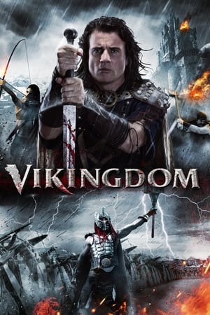 Vikingdom 2013 Hindi Dual Audio 720p BluRay [1GB] - Movierulz