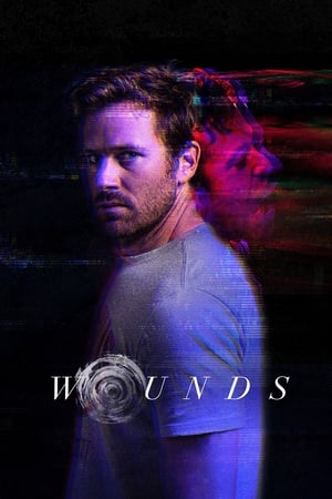 Wounds (2019) Hindi Dual Audio 720p BluRay [930MB] - Movierulz