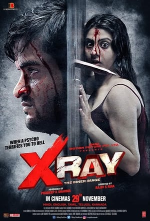 X Ray The Inner Image 2019 Hindi Movie 720p HDRip x264 [900MB] - Movierulz